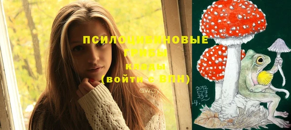 синтетический гашиш Снежинск