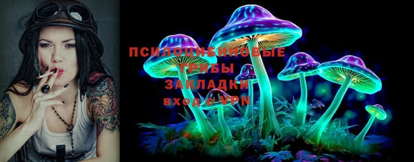 круглые Снежногорск