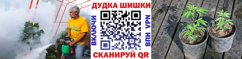 Бошки марихуана Bruce Banner  Купить  Гаврилов Посад 